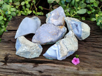 Natural Blue Lace Agate Geode Specimens x 6 From Nsanje, Malawi - Toprock Gemstones and Minerals