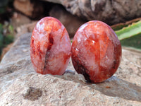 Polished Red Hematoid Quartz Palm Stones x 20 From Madagascar - Toprock Gemstones and Minerals