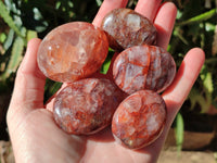 Polished Red Hematoid Quartz Palm Stones x 20 From Madagascar - Toprock Gemstones and Minerals