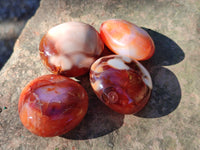 Polished Carnelian Palm Stones x 24 From Madagascar - Toprock Gemstones and Minerals