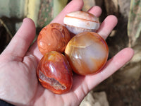 Polished Carnelian Palm Stones x 24 From Madagascar - Toprock Gemstones and Minerals