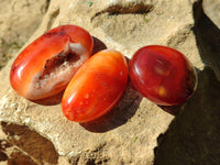 Polished Carnelian Palm Stones x 24 From Madagascar - Toprock Gemstones and Minerals