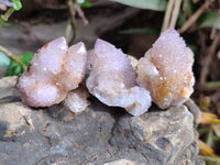 Natural Amethyst Spirit Quartz Clusters x 35 From Boekenhouthoek, South Africa - Toprock Gemstones and Minerals