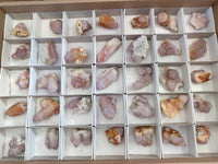 Natural Amethyst Spirit Quartz Clusters x 35 From Boekenhouthoek, South Africa - Toprock Gemstones and Minerals