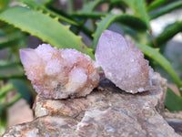 Natural Amethyst Spirit Quartz Clusters x 35 From Boekenhouthoek, South Africa - Toprock Gemstones and Minerals