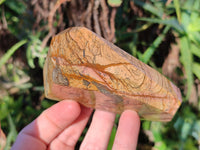 Polished Picture Stone Jasper Points x 3 From Ais-Ais, Namibia - Toprock Gemstones and Minerals