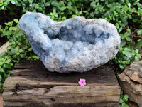 Natural Extra Large Celestite Geode Specimen x 1 From Sakoany, Madagascar - Toprock Gemstones and Minerals