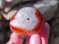Polished Carnelian Agate Palm Stones x 26 From Madagascar - Toprock Gemstones and Minerals