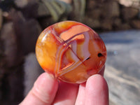 Polished Carnelian Agate Palm Stones x 26 From Madagascar - Toprock Gemstones and Minerals