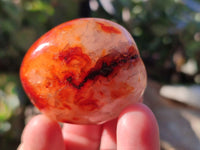 Polished Carnelian Agate Palm Stones x 26 From Madagascar - Toprock Gemstones and Minerals
