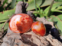 Polished Carnelian Agate Palm Stones x 26 From Madagascar - Toprock Gemstones and Minerals