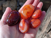 Polished Carnelian Agate Palm Stones x 26 From Madagascar - Toprock Gemstones and Minerals