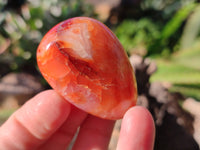 Polished Carnelian Agate Palm Stones x 26 From Madagascar - Toprock Gemstones and Minerals