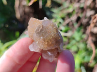 Natural Golden Limonite Spirit Quartz Clusters x 70 From Boekenhouthoek, South Africa - Toprock Gemstones and Minerals