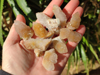 Natural Golden Limonite Spirit Quartz Clusters x 70 From Boekenhouthoek, South Africa - Toprock Gemstones and Minerals
