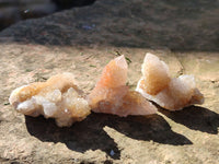 Natural Golden Limonite Spirit Quartz Clusters x 70 From Boekenhouthoek, South Africa - Toprock Gemstones and Minerals