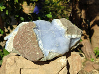 Natural Blue Lace Agate Geode Specimens x 1 From Nsanje, Malawi - Toprock Gemstones and Minerals