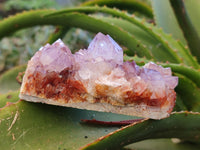 Natural Amethyst Spirit Quartz Clusters x 6 From Boekenhouthoek, South Africa - Toprock Gemstones and Minerals