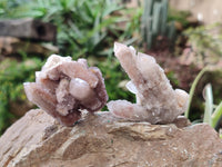 Natural Golden Limonite Spirit Quartz Clusters x 35 From Boekenhouthoek, South Africa - Toprock Gemstones and Minerals