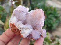 Natural Amethyst Spirit Quartz Clusters x 6 From Boekenhouthoek, South Africa - Toprock Gemstones and Minerals