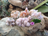 Natural Amethyst Spirit Quartz Clusters x 6 From Boekenhouthoek, South Africa - Toprock Gemstones and Minerals