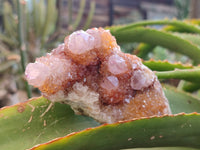 Natural Amethyst Spirit Quartz Clusters x 6 From Boekenhouthoek, South Africa - Toprock Gemstones and Minerals