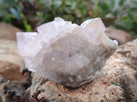 Natural Light Amethyst Spirit Quartz Clusters x 4 From Boekenhouthoek, South Africa - Toprock Gemstones and Minerals