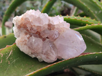 Natural Light Amethyst Spirit Quartz Clusters x 4 From Boekenhouthoek, South Africa - Toprock Gemstones and Minerals