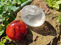 Polished Mix Of Selected Palm Stones x 12 From Madagascar - Toprock Gemstones and Minerals