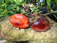 Polished Carnelian Palm Stones x 12 From Madagascar - Toprock Gemstones and Minerals