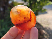 Polished Carnelian Palm Stones x 12 From Madagascar - Toprock Gemstones and Minerals