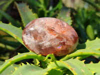 Polished Red Hematoid Quartz Palm Stones x 20 From Ambatondrazaka, Madagascar - Toprock Gemstones and Minerals