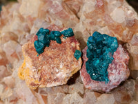 Natural Small Dioptase On Dolomite Specimens x 20 From Likasi, Congo - Toprock Gemstones and Minerals