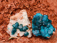 Natural Small Dioptase On Dolomite Specimens x 20 From Likasi, Congo - Toprock Gemstones and Minerals