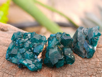 Natural Small Dioptase On Dolomite Specimens x 20 From Likasi, Congo - Toprock Gemstones and Minerals
