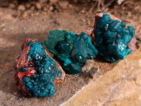 Natural Small Dioptase On Dolomite Specimens x 20 From Likasi, Congo - Toprock Gemstones and Minerals
