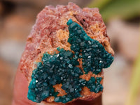 Natural Small Dioptase On Dolomite Specimens x 20 From Likasi, Congo - Toprock Gemstones and Minerals
