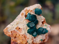 Natural Small Dioptase On Dolomite Specimens x 20 From Likasi, Congo - Toprock Gemstones and Minerals