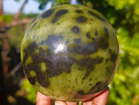 Polished Leopard Stone Sphere x 1 From Nyanga, Zimbabwe - Toprock Gemstones and Minerals