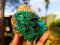 Natural Dioptase On Dolomite with Malachite Specimens x 2 From Likasi, Congo - Toprock Gemstones and Minerals