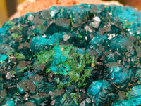 Natural Dioptase On Dolomite with Malachite Specimens x 2 From Likasi, Congo - Toprock Gemstones and Minerals