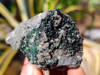 Natural Libethenite Crystals On Dolomite Matrix Specimens x 5 From Shituru, Congo - Toprock Gemstones and Minerals