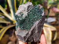 Natural Libethenite Crystals On Dolomite Matrix Specimens x 5 From Shituru, Congo - Toprock Gemstones and Minerals