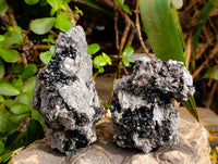 Natural Libethenite Crystals On Dolomite Matrix Specimens x 5 From Shituru, Congo - Toprock Gemstones and Minerals