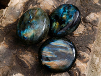Polished Labradorite Palm Stones x 24 From Tulear, Madagascar - Toprock Gemstones and Minerals