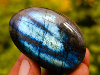 Polished Labradorite Palm Stones x 24 From Tulear, Madagascar - Toprock Gemstones and Minerals