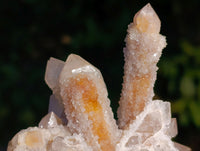 Natural Fairy Spirit Quartz Clusters x 6 From Boekenhouthoek, South Africa - Toprock Gemstones and Minerals