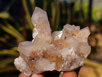 Natural Fairy Spirit Quartz Clusters x 6 From Boekenhouthoek, South Africa - Toprock Gemstones and Minerals