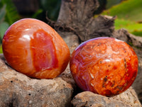 Polished Carnelian Palm Stones x 24 From Madagascar - Toprock Gemstones and Minerals