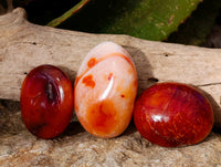 Polished Carnelian Palm Stones x 24 From Madagascar - Toprock Gemstones and Minerals